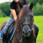 Konska Dolina 3* تيلسز