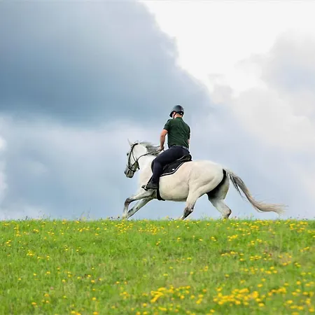 Konska Dolina Lägenhetshotell Tylicz