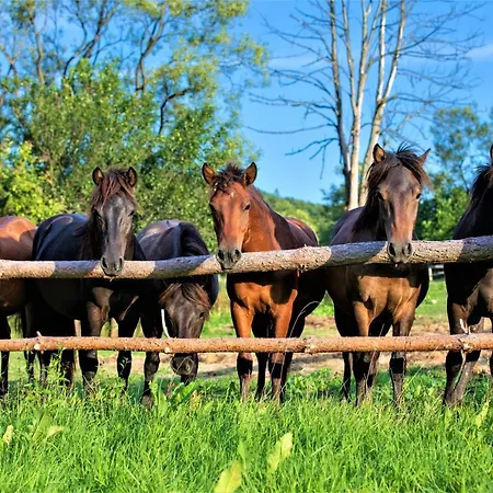 Aparthotel Konska Dolina 3*
