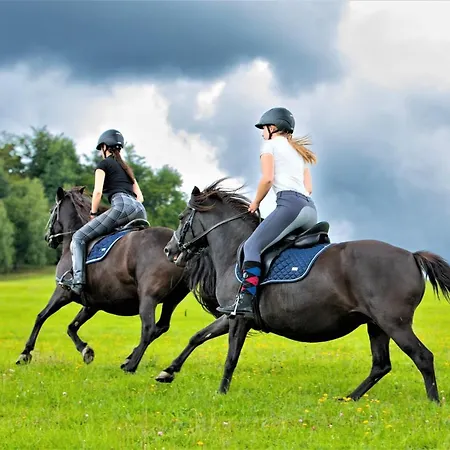 Lägenhetshotell Konska Dolina Tylicz
