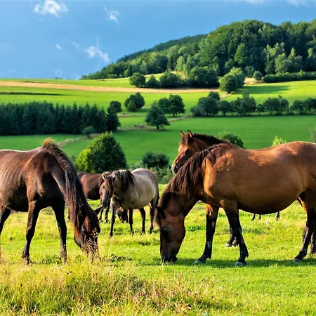 Konska Dolina Lägenhetshotell Tylicz