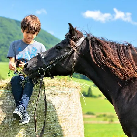Aparthotel Konska Dolina 3*