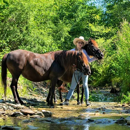 Konska Dolina Lägenhetshotell