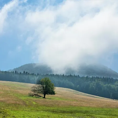 Konska Dolina Krynica Zdroj