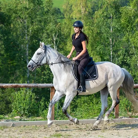 Konska Dolina 3*