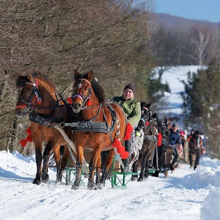 Apart Otel Konska Dolina Tylicz