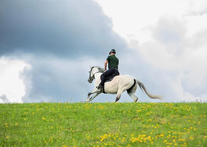 Końska Dolina Hotel apartamentowy Tylicz