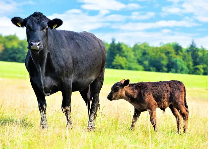 Aparthotel Konska Dolina 3*