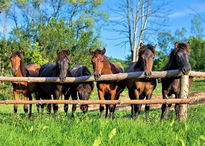 Aparthotel Konska Dolina 3*