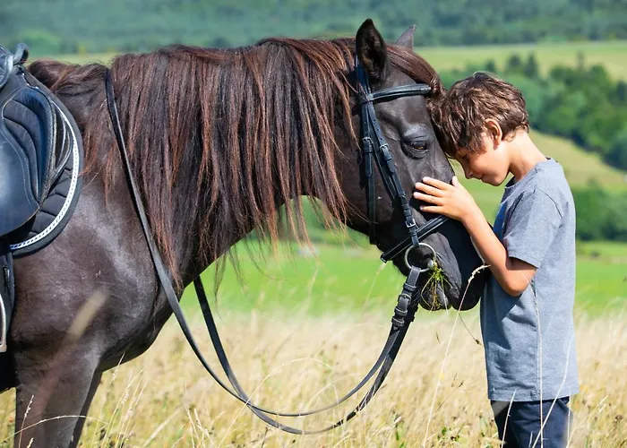 Hotel apartamentowy Końska Dolina Tylicz