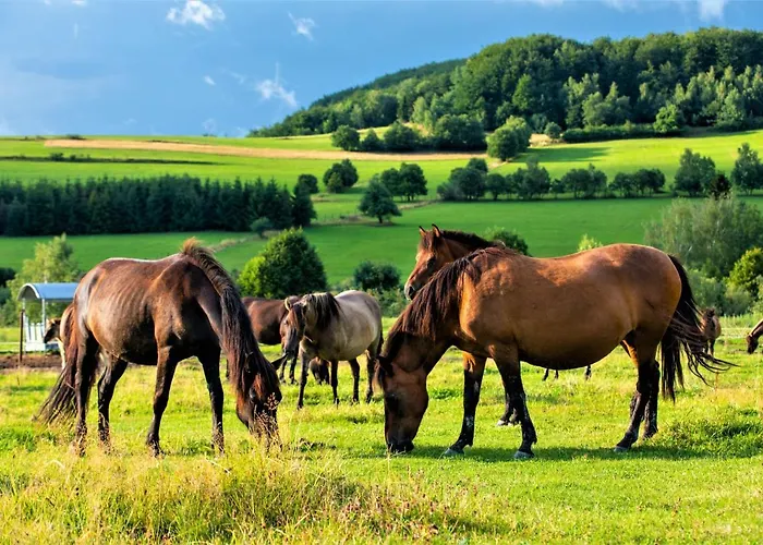 Konska Dolina Aparthotel Tylicz