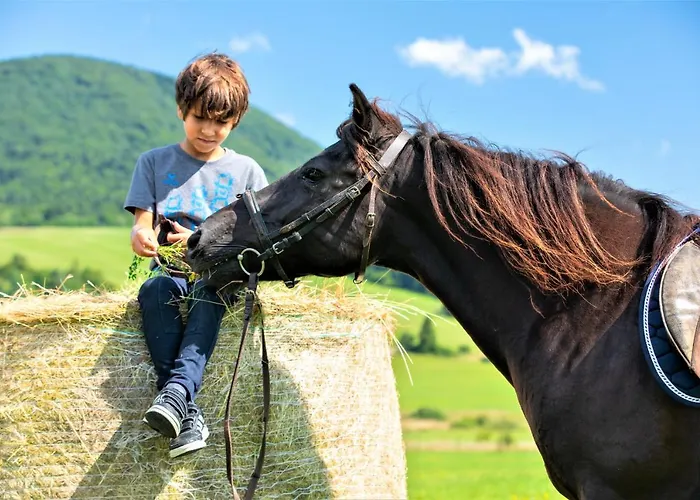 Hotel apartamentowy Końska Dolina 3*