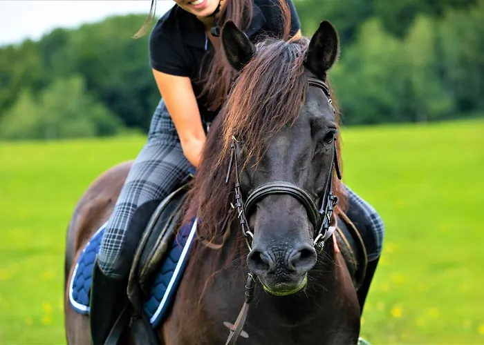 Konska Dolina 3* Tylicz