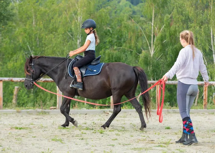 Konska Dolina Apart Otel Tylicz