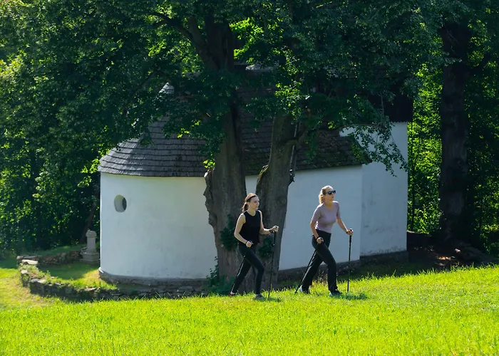 Apart Otel Konska Dolina 3*