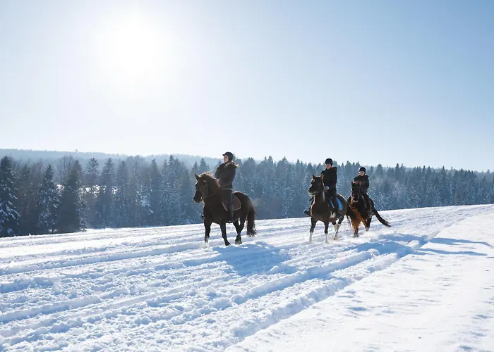 Konska Dolina 3* Tylicz