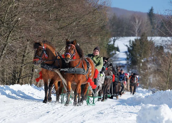 Apart Otel Konska Dolina Tylicz